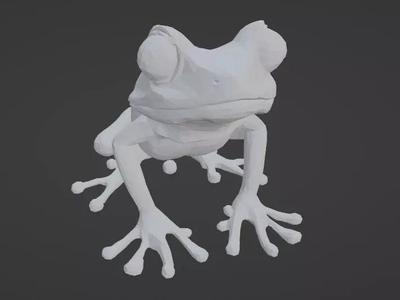 tree frog