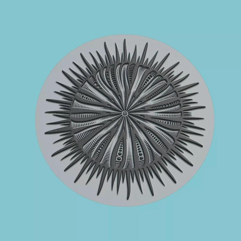 Sea urchin Animal Medallion Sea urchin Print Model