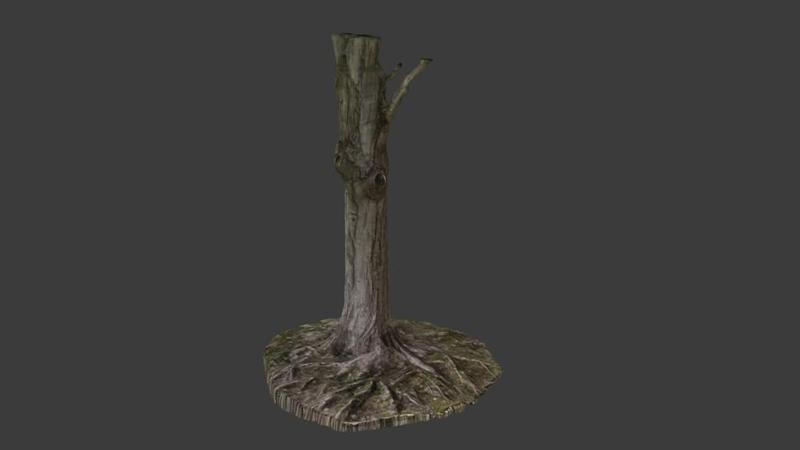 Tree Trunk Scan