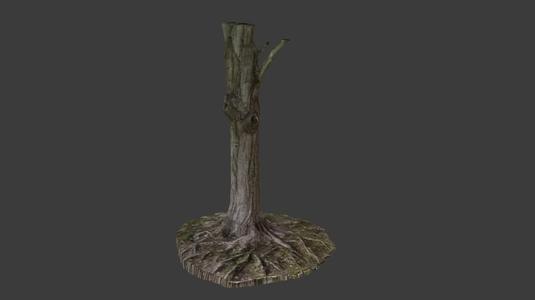 Tree Trunk Scan