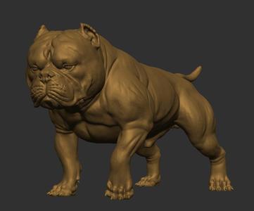 American Bully