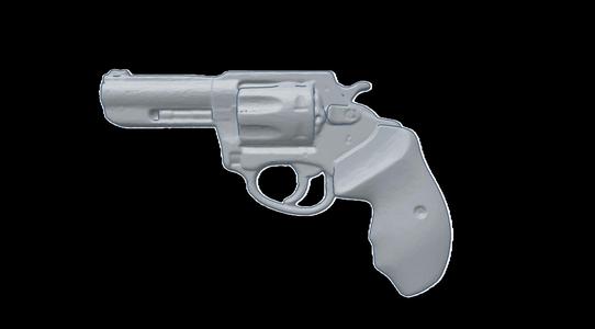Charter Arms Professional .32 HR Magnum Real-Size Scan Revolver