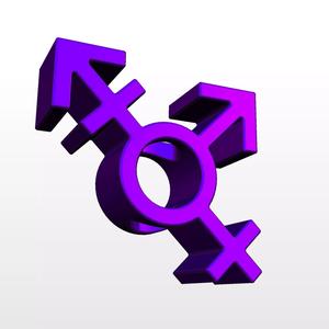 3D printed model of the transgender gender symbol