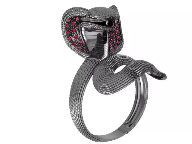 An 2461 Naja cravejada