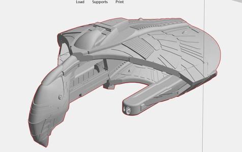 Romulan Macaw Warbird