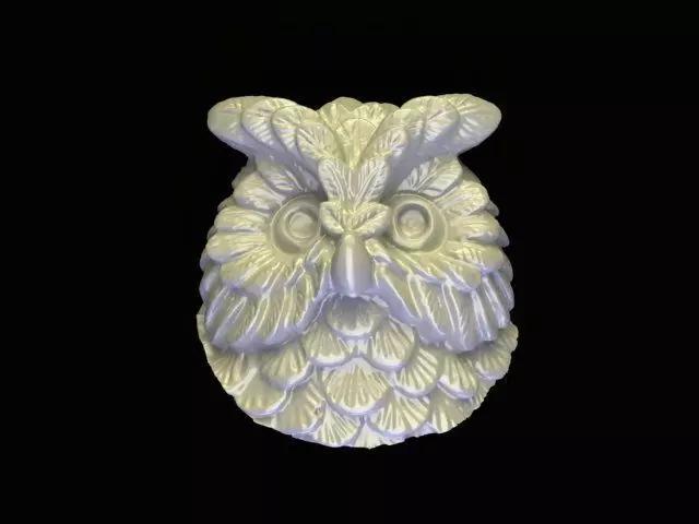 the owl