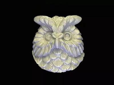 the owl
