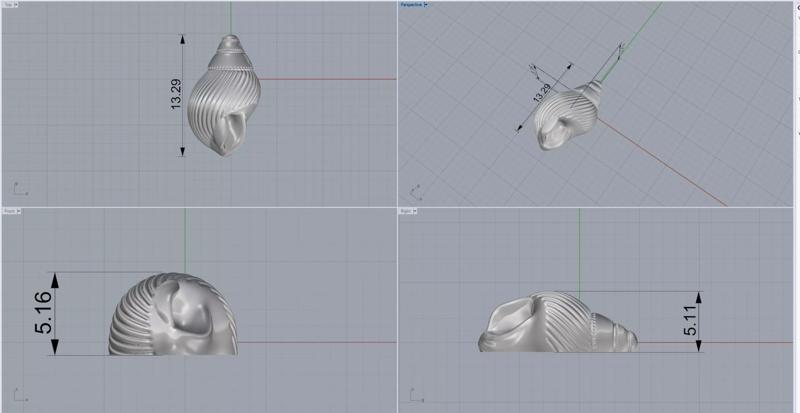 sea shell pendant