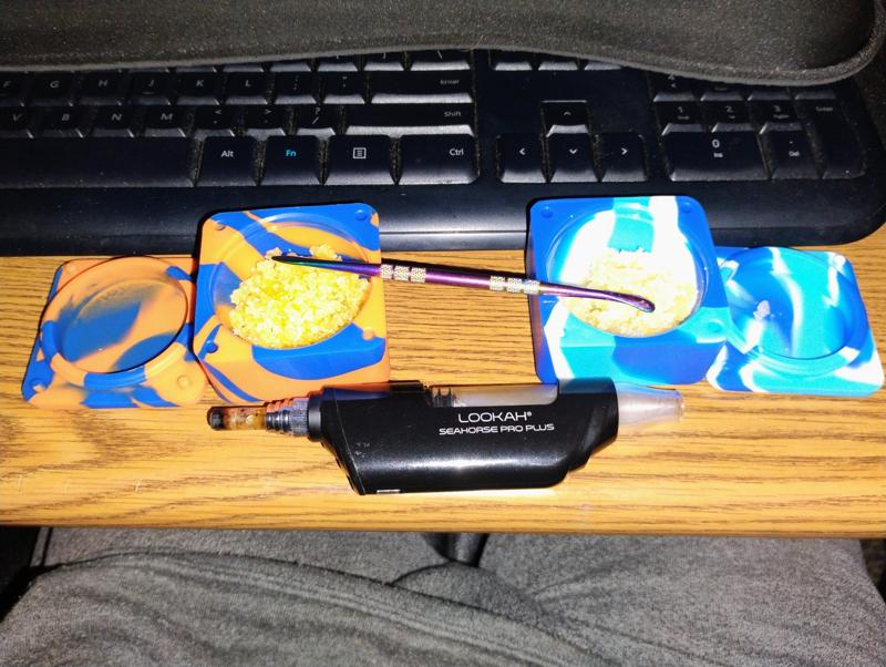 Seahorse Pro Holder w/ Wax Holders and Scoop Accessory Hole