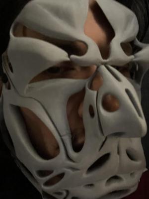Mask_without_name (H)