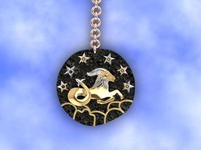 capricorn zodiac coin necklace
