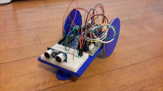 Roaming Robot