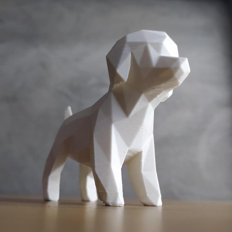 Low Poly Poodle