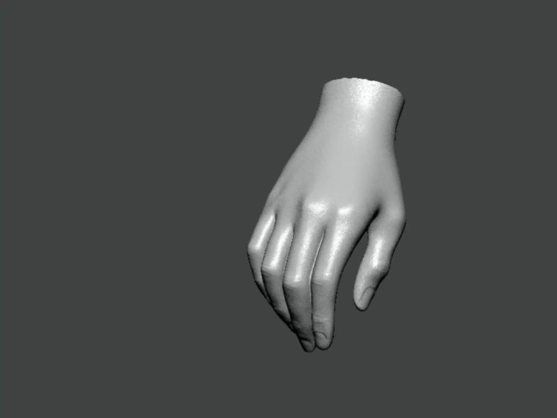 3D Model-HAND0018 hand