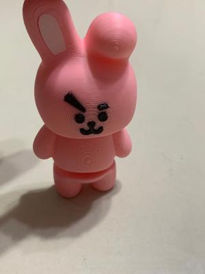 Cooky BTS