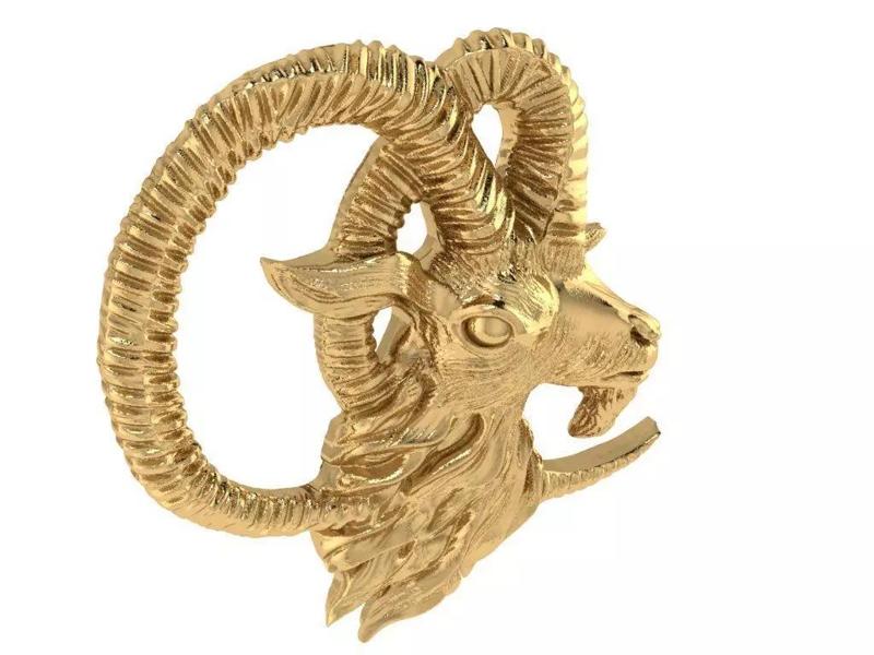 capricorn necklace