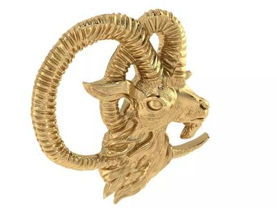 capricorn necklace