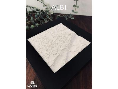 Albi 3D City