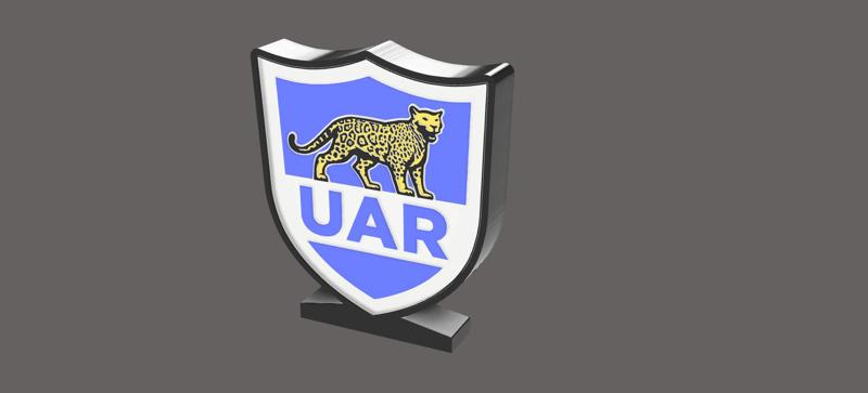 Argentinian rugby logo lamp