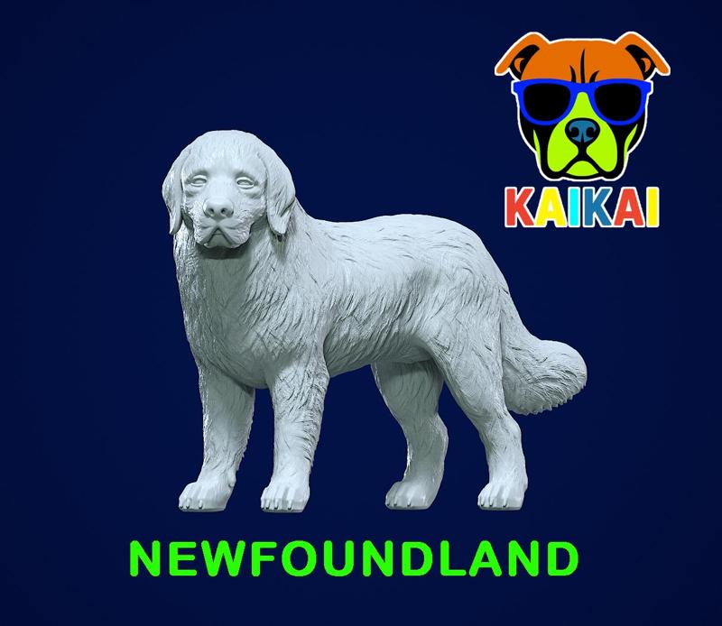 Newfoundland dog - Newfie dog model - 3D print