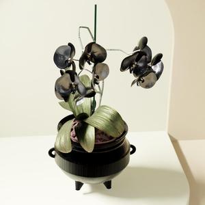 Spooky Cauldron Planter/Pot/Bowl