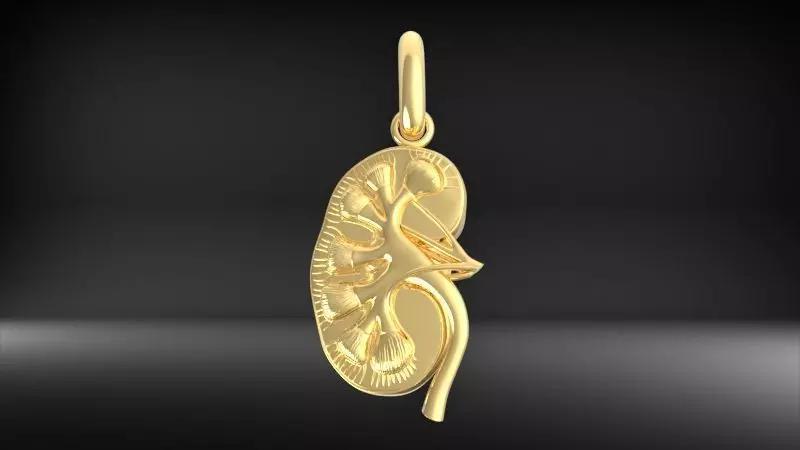 Transplant Gift  Kidney Pendant Charm Necklace Jewelry
