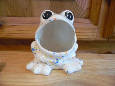 Scrubby Frog