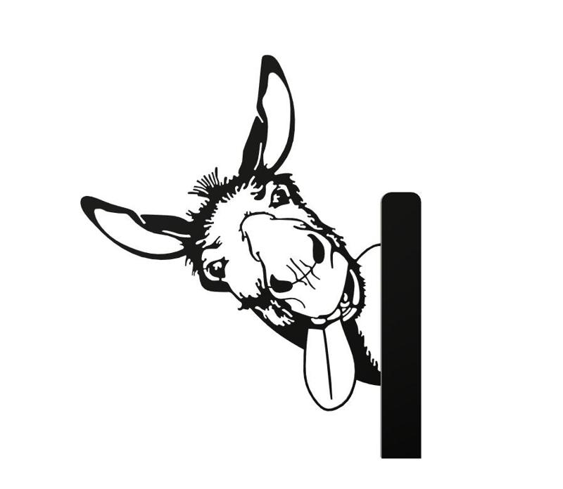 Peeking Donkey 1