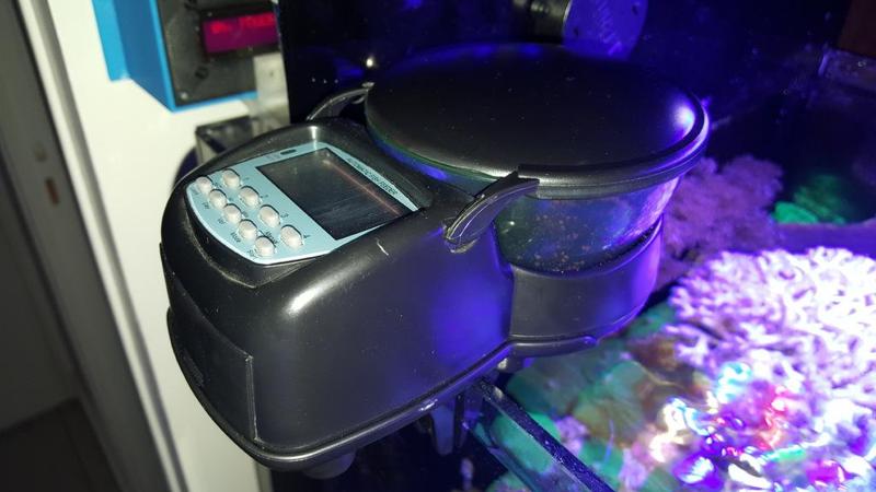 Aquarium fish feeder quantity reducer