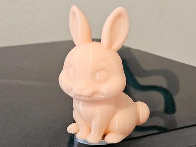 Cute Bunny