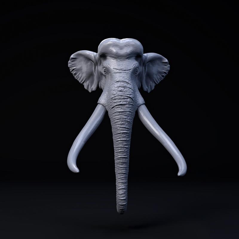 Palaeoloxodon mount/head