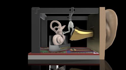 Educational Ear Structure Project