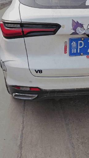 Land Cruiser Prado V8 Emblem Badge Rear Decoration