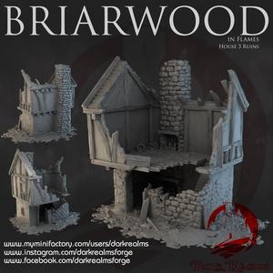 Dark Realms - Briarwood - House 3 Ruins