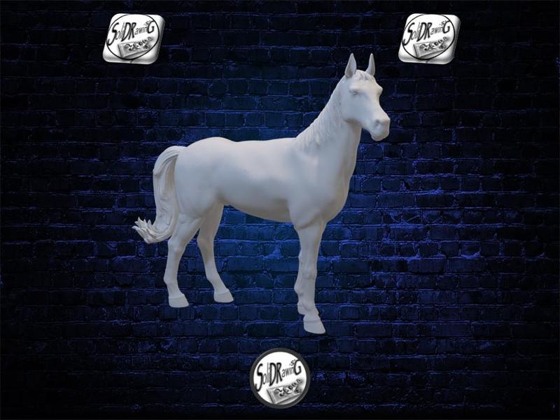 The Still Horse
