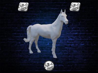 The Still Horse