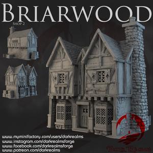 Dark Realms - Briarwood - Shop 2
