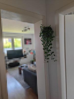 Room Corner Flower Pot  (self-watering)