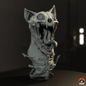Your kitty tonight