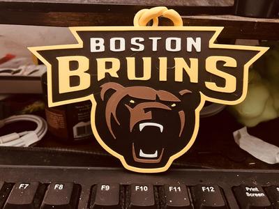 Boston Bruins medallion piece