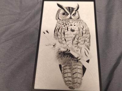 B/W Owl Drawing