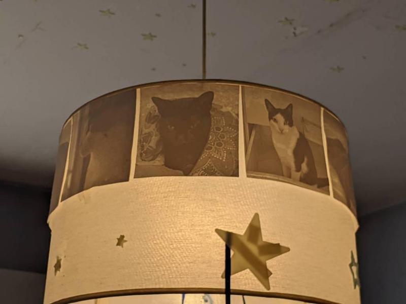 Cats Lithophane Lamp