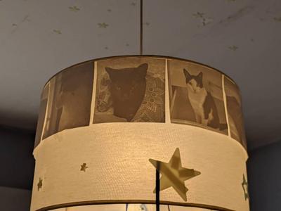 Cats Lithophane Lamp