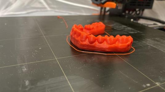 Realistic Bottom Teeth Model 