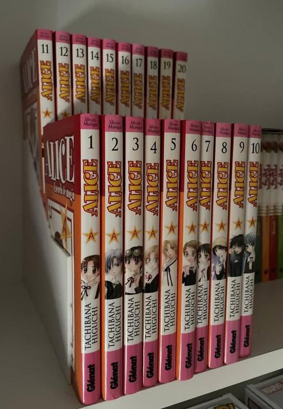 Manga/book 2-level support shelf