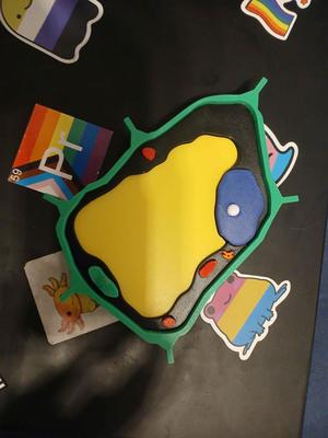 Biologie - Pflanzenzelle Modell