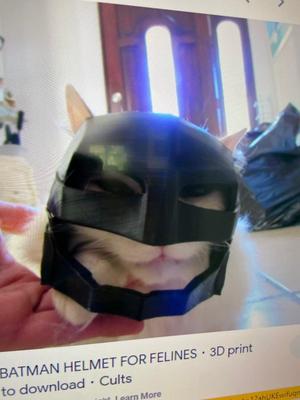 BATCAT (batman cat helmet)