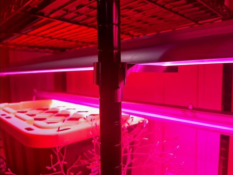 1 inch Wire shelf Neon support