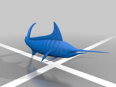 Sailfish