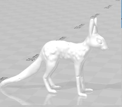 BunnyCat 3D